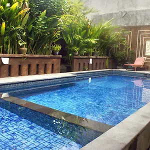 Waringin Kuta Lombok